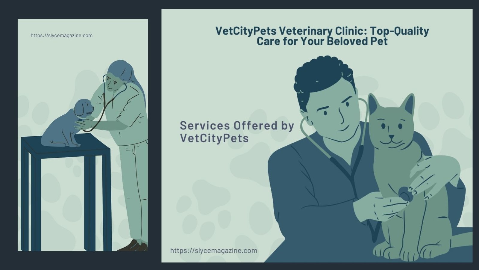 VetCityPets Veterinary Clinic